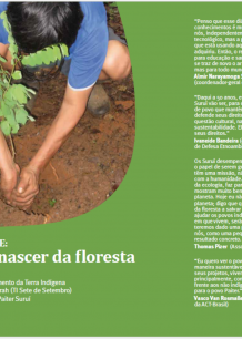 Pamine: O Renascer da Floresta