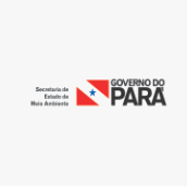 Governo do Pará