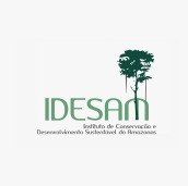 Idesam