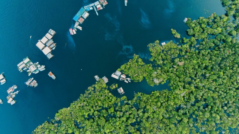 Vozes da Amazônia