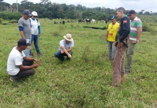 ECAM ABRE PROCESSO SELETIVO PARA PRODUTORES RURAIS DO MUNICÍPIO DE ORIXIMINÁ