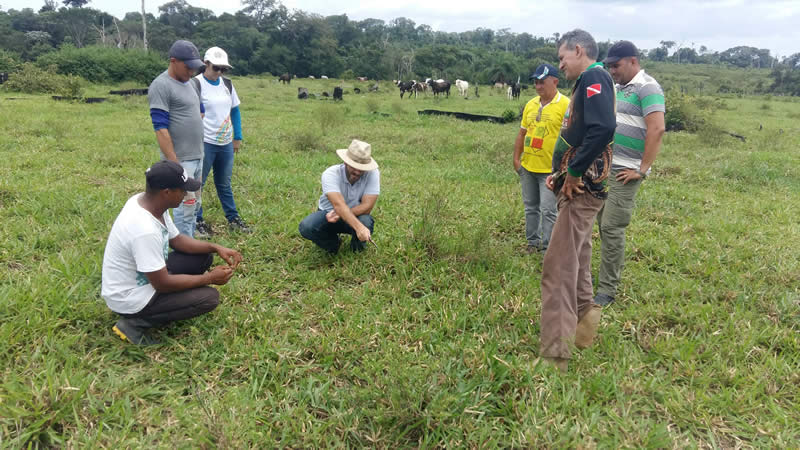 ECAM ABRE PROCESSO SELETIVO PARA PRODUTORES RURAIS DO MUNICÍPIO DE ORIXIMINÁ