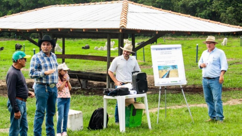 Conheça o Projeto Pecuária Sustentável