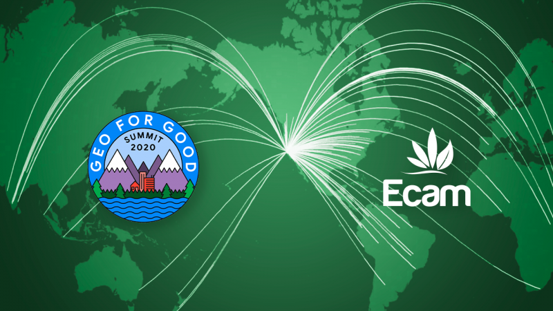 Em evento mundial, brasileira apresenta estudo sobre situação dos territórios tradicionais diante da pandemia