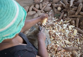 Quilombolas realizam mapeamento de ações e instituições que incentivam agricultura familiar