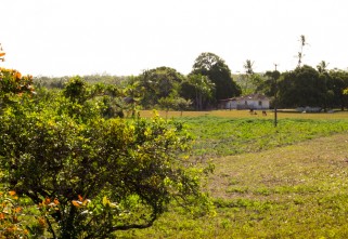 MARANHÃO: BOAS PRÁTICAS DA AGRICULTURA FAMILIAR QUILOMBOLA