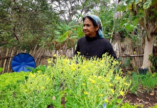 MINAS GERAIS: BOAS PRÁTICAS DA AGRICULTURA FAMILIAR QUILOMBOLA