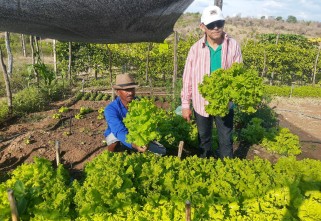 PARAÍBA: BOAS PRÁTICAS DA AGRICULTURA FAMILIAR QUILOMBOLA
