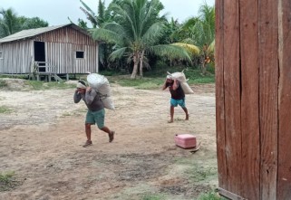 Ecam Projetos Sociais realiza ações de apoio ao povo Hexkaryana, para coleta de produção