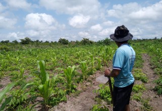 Iniciativa da Agricultura Familiar Quilombola realiza segunda rodada de webinars estaduais