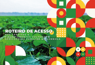 Confira estudo sobre acesso a créditos e financiamentos para fomento da agricultura familiar quilombola
