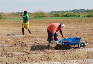 Projeto Quilombo Solidário fortalece comunidades com doação de ferramentas