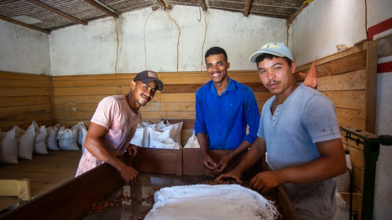 ReSeed chega ao Brasil com soluções baseadas na natureza e inserção de pequenos agricultores no Mercado de Carbono em parceria com a Dengo Chocolates