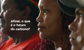 Afinal, o que é o futuro do carbono?